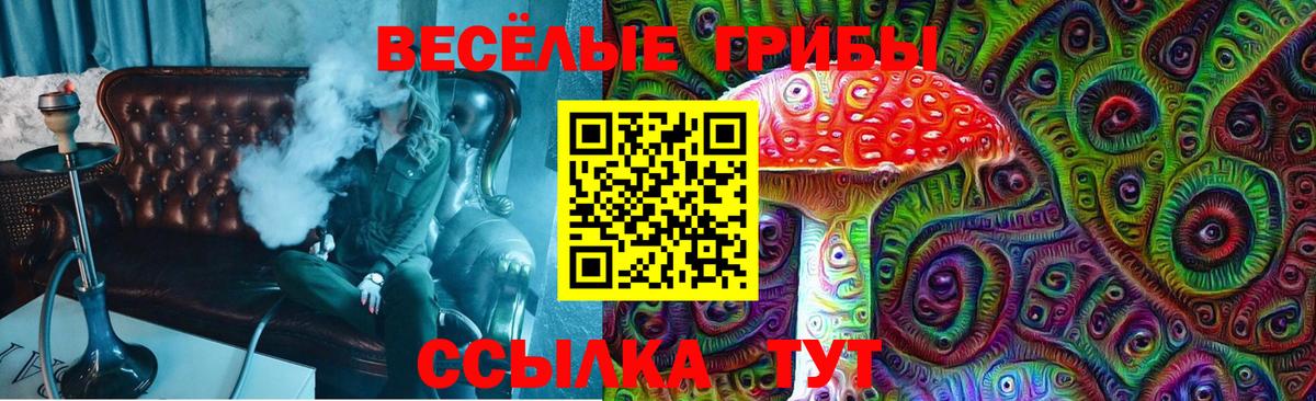 Галлюциногенные грибы MAGIC MUSHROOMS  Вход с VPN  Псилоцибиновые грибы прущие грибы  Верхняя Пышма 